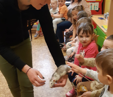 Zvířátka v MŠ