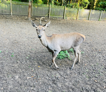 VÝLET EKOCENTRUM HUSLÍK